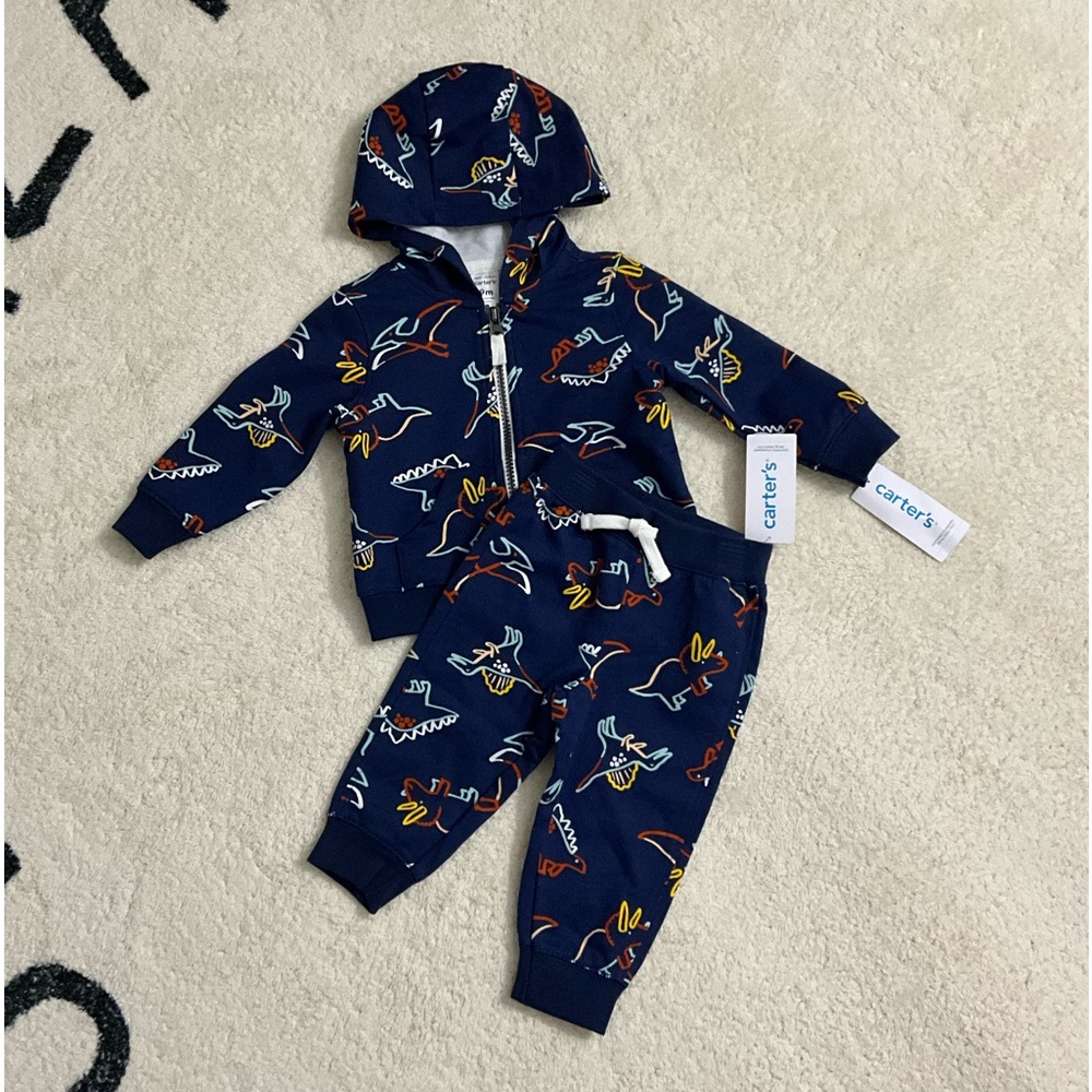 Carters baby dinosaur sweat set